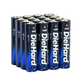 DieHard® AAA Alkaline Battery (16 Pack)