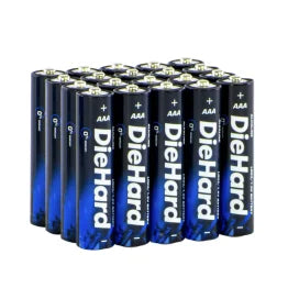 DieHard® AAA Alkaline Battery (20 Pack)